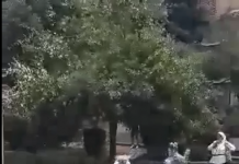 FOTO!Femeie dată cu capul de asfalt, bătută cu pumnii și picioarele, la Târgu Jiu! Agresoarele au scăpat, deocamdată, doar cu amenzi