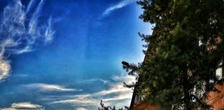 ,,Istoria unei secunde”, o nouă expoziție la CJCPCT Gorj