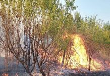 FOTO|VIDEO: Incendiul puternic, izbucnit în zona Narciselor, a fost stins!