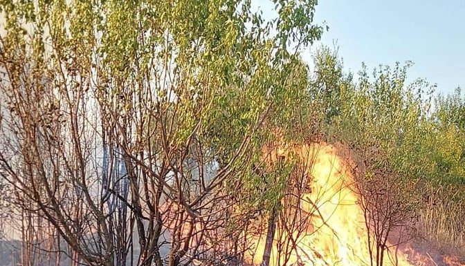 FOTO|VIDEO: Incendiul puternic, izbucnit în zona Narciselor, a fost stins!