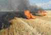 APIA avertizează: arderea miriștilor și a vegetației, strict interzisă