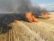 APIA avertizează: arderea miriștilor și a vegetației, strict interzisă