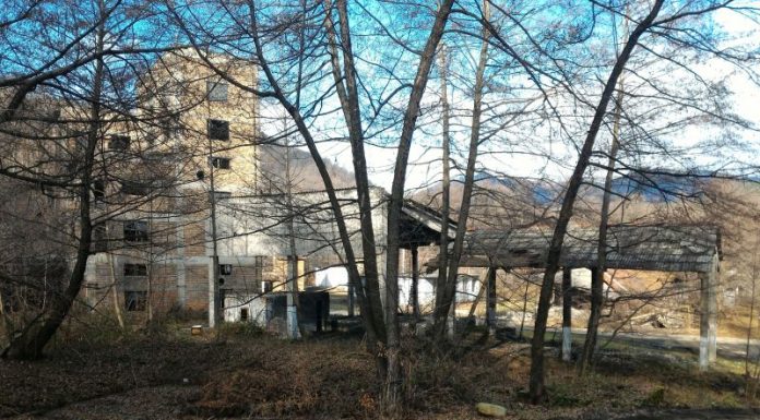 Consultanți nemți pentru grafitul de la Baia de Fier