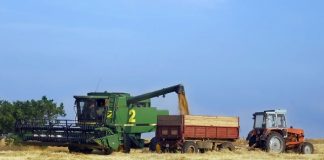 Agricultura pe înțelesul tuturor – Graficul lucrărilor agricole în luna august