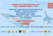 Show aviatic în Gorj