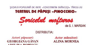 Spectacole de teatru de păpuși, pe scena Teatrului de Vară din Târgu-Jiu