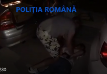 FOTO/VIDEO: Contrabandist de țigări, prins la Novaci! 1000 de pachete, confiscate