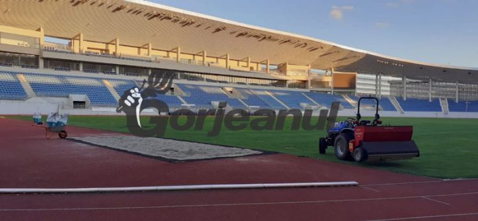 241158962_376806823852900_9169518454620848127_n