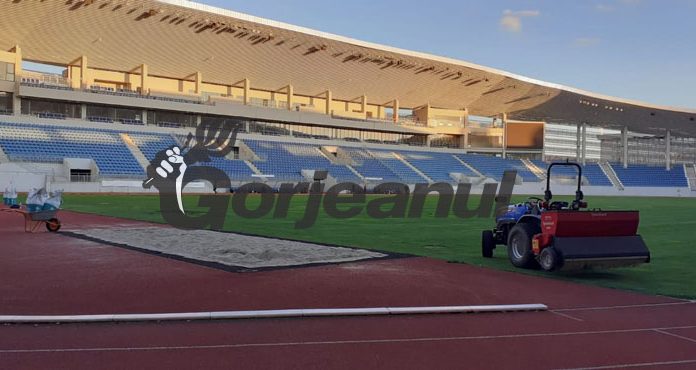 Pandurii caută stadion pentru meciul cu Lupac