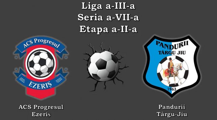 Prima deplasare a sezonului pentru panduri