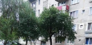 Liderul sindical Roșca, acuzat că a distrus un foișor de la blocul său din Motru! Resturile, transportate la casa lui Nelu de la Meriș