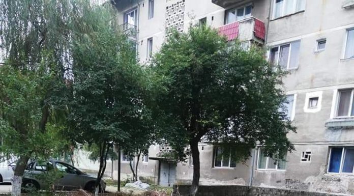 Liderul sindical Roșca, acuzat că a distrus un foișor de la blocul său din Motru! Resturile, transportate la casa lui Nelu de la Meriș