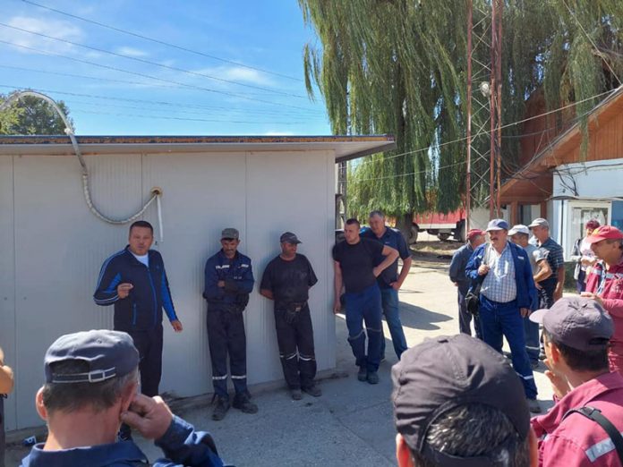 241729253_244401530922893_2709519723492824803_n