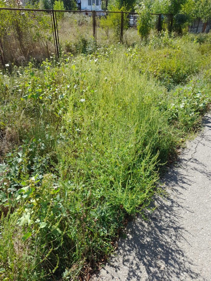 241764243_525560635215675_8252557547957345482_n