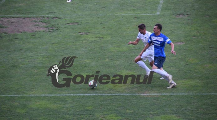 Liga 3: Pandurii a cedat primul loc în Seria 7