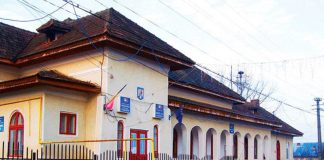 Salariu de lux pentru un asistent personal din Vladimir! 23.000 de lei brut pe lună ca să aibă grijă de o persoană cu handicap