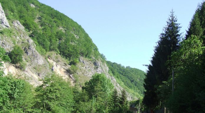 Autumnale – GHEARELE MUNTELUI (1)