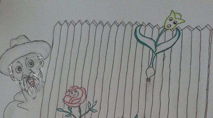 Povești cu tâlc: Supărarea florilor