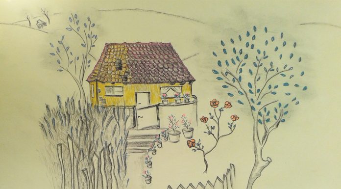 Povești cu tâlc: Căsuța