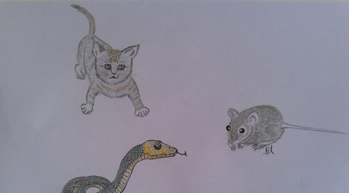 Povești de lângă noi: La momentul potrivit