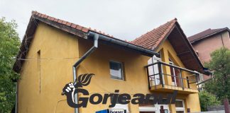 Fostul „sensei” Cherș – nevinovat la Motru!