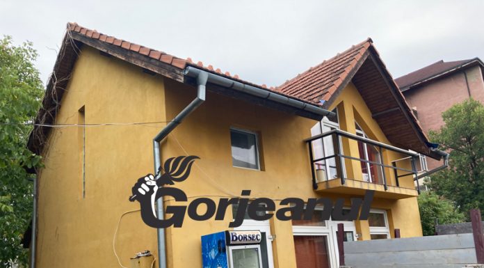 Fostul „sensei” Cherș – nevinovat la Motru!