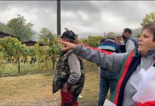 VIDEO: Scandal pentru o palmă de pământ și un drum care duce într-un stâlp!