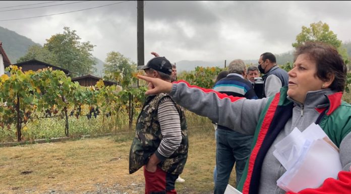 VIDEO: Scandal pentru o palmă de pământ și un drum care duce într-un stâlp!