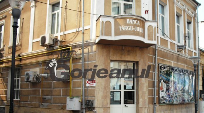 Pandurii, victoria la TAS în fața FRF!