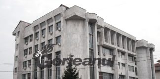 Condamnată pentru că deținea ilegal un pistol