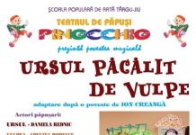”Ursul păcălit de vulpe”, la Teatrul de Vară din Târgu-Jiu