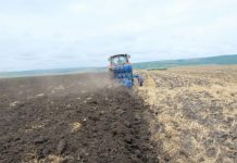 APIA începe plata pentru motorina utilizată în agricultură