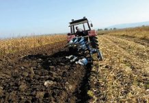 Agricultura pe înțelesul tuturor – Graficul lucrărilor agricole în luna septembrie