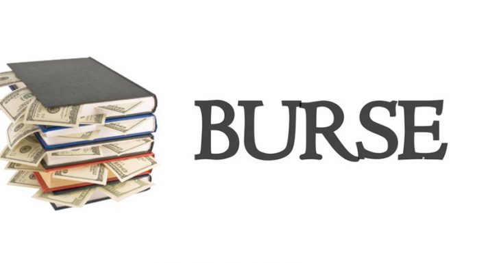 Burse de studiu în Marea Britanie pentru elevii de clasa a X-a