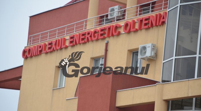 Bătălia continuă | Încep protestele! 20 de oameni, în greva foamei în fața ministerului condus de Raluca Turcan!