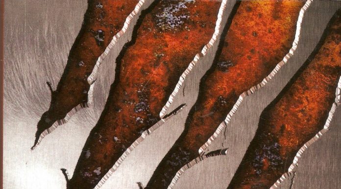 Cronica literară – Un roman de excepţie: „Sub cortina de Fier”, de Andrada Costoiu „Conştiinţa pluteşte mai departe decât întunericul”