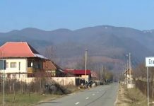 „Expertiza” a dat iama în Gorj. „Aici e rost de furat”