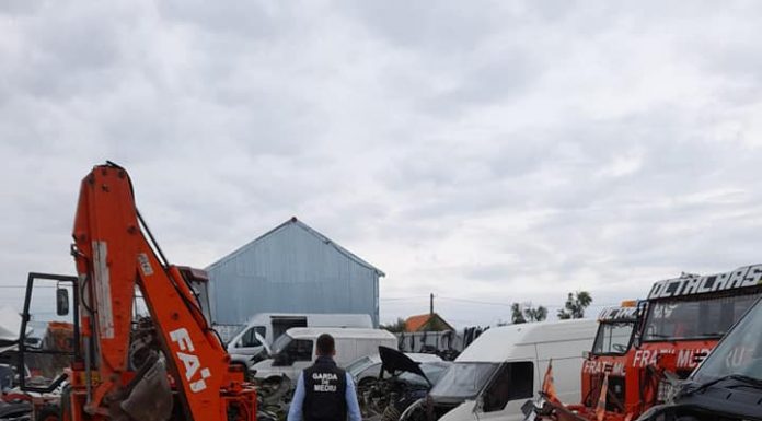 Amendă de 30.000 lei pentru o firmă din Turburea