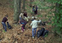 Mii de voluntari din Gorj ies la strâns de gunoaie