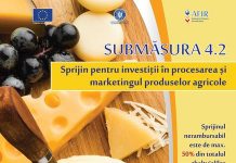 AFIR a publicat Ghidul solicitantului privind accesarea fondurilor europene prin PNDR 2020 pentru procesarea produselor agricole