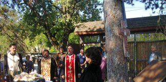 Înălţarea Crucii…şi Lecţia de viaţă – În Ziua Înălţării Sfintei Cruci, la «Muzeului Crucilor» din satul Măceşu, Oraşul Târgu-Cărbuneşti, Gorj! (I) – ,,O, preacinstită și de viață făcătoare Crucea Domnului, ajută-mi mie cu Sfânta Fecioară Născătoare de Dumnezeu și cu toți Sfinții”!
