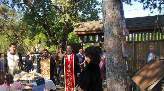 Înălţarea Crucii…şi Lecţia de viaţă – În Ziua Înălţării Sfintei Cruci, la «Muzeului Crucilor» din satul Măceşu, Oraşul Târgu-Cărbuneşti, Gorj! (I) – ,,O, preacinstită și de viață făcătoare Crucea Domnului, ajută-mi mie cu Sfânta Fecioară Născătoare de Dumnezeu și cu toți Sfinții”!