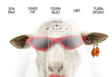 Pup-o, mă! 2: Mireasa nebună (2021) – Cinema Sergiu Nicolaescu – V, S, D – 14:30