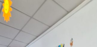 Operațiuni de deratizare și dezinsecție la unitățile de învățământ din Rovinari