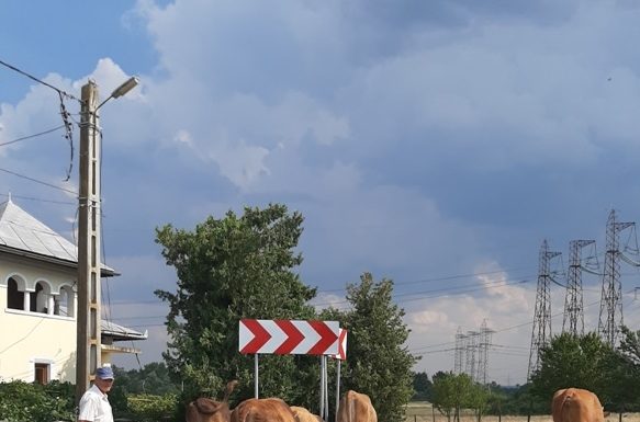 Un gospodar al zilelor noastre