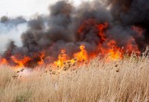Incendiu în apropierea locuințelor din Tismana