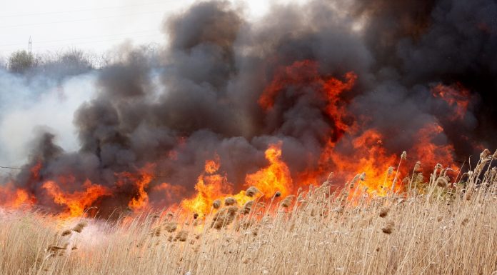 50 de hectare de vegetație uscată au ars, aseară, la Bâlteni!