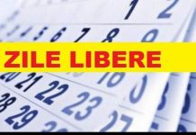 15 zile libere în 2022