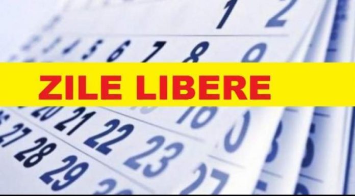 15 zile libere în 2022