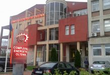 Din 20 de firme interesate de CE Oltenia, 60% sunt străine!